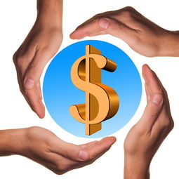 九游体育直播-体育教学中增强现实与虚拟现实融合应用，结合教学实践谈谈示范在体育教学中的运用